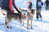 Сотня сахалинцев устроила лыжный забег в рамках «Декады спорта-2021», Фото: 35
