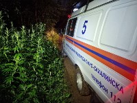 Мужчина залез на дерево, спасаясь от медведя в Южно-Сахалинске, Фото: 8