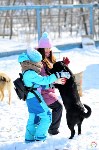Больше 100 кг корма передали волонтеры сахалинскому приюту «Пес и кот», Фото: 2