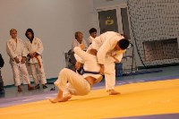 Второй год подряд в Южно-Сахалинске проводится международный турнир по дзюдо, Фото: 20