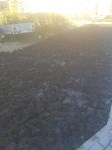 Жители Соловьёвки жалуются на вонь от грунта на клумбах, Фото: 1