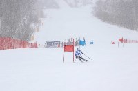 Ветераны горнолыжного спорта показали мастерство на «Горном воздухе», Фото: 13