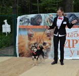 В рамках выставки беспородных собак в Южно-Сахалинске 8 питомцев обрели хозяев, Фото: 170