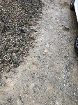 Один из дворов Южно-Сахалинска утопает в грязи после коммунальных работ, Фото: 9