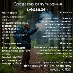 Правила, которые реально спасут от нападения медведя, Фото: 4