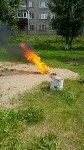 пчелы у детского сада, Фото: 1