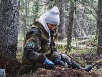 Останки двух советских солдат обнаружили поисковики на Сахалине, Фото: 1