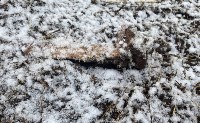 Навоз со шкурами и костями животных вывалили в конце улицы в Смирных, Фото: 1