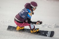 Чемпионат России по сноуборду завершился в Южно-Сахалинске, Фото: 14