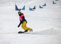 Сахалинские сноубордисты вступили в борьбу за медали областных соревнований, Фото: 12