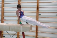 На Сахалине определили сильнейших в спортивной гимнастике, Фото: 12