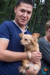 В рамках выставки беспородных собак в Южно-Сахалинске 8 питомцев обрели хозяев, Фото: 194
