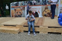 В рамках выставки беспородных собак в Южно-Сахалинске 8 питомцев обрели хозяев, Фото: 284