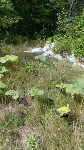 Мешки с тухлой рыбой выкинули у речки в Южно-Сахалинске, Фото: 7