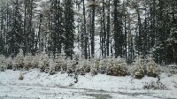 На север Сахалина пришла зима, Фото: 4