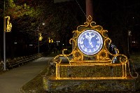 Парк Южно-Сахалинска готовится к Новому году, Фото: 9