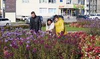 Около 80 тысяч тюльпанов осенью высадят в Южно-Сахалинске, Фото: 4
