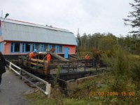 забойка на рыборазводном заводе, Фото: 8