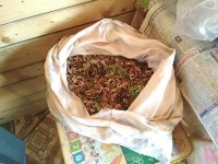 «Наркобарона» с 10 кг наркотиков задержали на севере Сахалина, Фото: 3