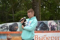 В рамках выставки беспородных собак в Южно-Сахалинске 8 питомцев обрели хозяев, Фото: 217