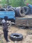 Активисты собрали 15 тонн автомобильных шин на автодороге Ноглики – Ныш, Фото: 1