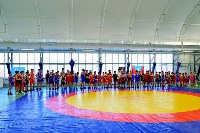 Открытый турнир по спортивной борьбе прошёл в Шахтёрске, Фото: 9