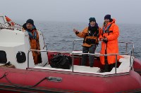 Спасатели и волонтеры устроили субботник на острове Тюленей, Фото: 9