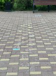 Мэр Невельска прогулялся по новому скверу и расстроился, Фото: 4