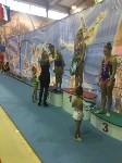 Сахалинские художественные гимнастки привезли из Хабаровска серебряные медали, Фото: 7