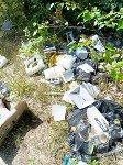 Мешки с тухлой рыбой выкинули у речки в Южно-Сахалинске, Фото: 2