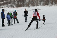 Чемпионат области по ездовому спорту, Фото: 4