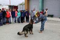 Сегодня в подразделении несут службу 15 питомцев и 20 специалистов , Фото: 4