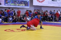 Больше 150 юных спортсменов сразились во Всероссийский день самбо , Фото: 26