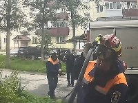 Кошку спасли при тушении пожара в Южно-Сахалинске, Фото: 2