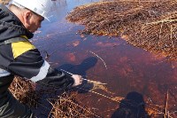 Нефтяной разлив в Ногликском  районе достиг Дагинских термальных источников и Ныйского залива, Фото: 10