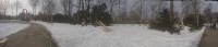 Краснокнижные тисы в городском парке Южно-Сахалинска оказались под угрозой, Фото: 7