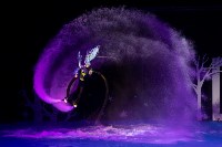 Российские чемпионки-синхронистки впервые показали на Сахалине музыкальный спектакль на воде, Фото: 4