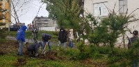 В Холмске школьники высадили в городе молодые деревья, Фото: 2