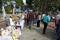 Празднование Дня города в Южно-Сахалинске растянулось на два дня, Фото: 6