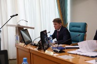 Сахалинские депутаты просят правительство построить мост на материк на "нефтяные" деньги , Фото: 2
