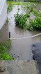 Затопило двор на Сахалинской, 88, Фото: 2