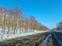 Дорога Новиково-Корсаков в ужасном состоянии, Фото: 6