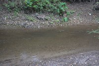 Дефицит кеты отмечен в реках Тунайчи, Фото: 10