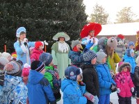 Сказочные герои дали старт новогодним мероприятиям в парке Южно-Сахалинска, Фото: 6