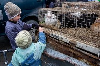 Сельскохозяйственная ярмарка «Весна - 2018» проходит в Южно-Сахалинске, Фото: 4