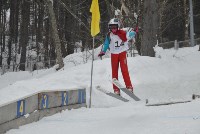 Первенство области по прыжкам на лыжах с трамплина , Фото: 22