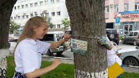 На краснокнижных деревьях в Южно-Сахалинске появились QR-коды, Фото: 4