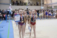 Около 200 юных гимнасток выступили в Новоалександровске, Фото: 8