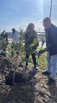 Новая аллея появилась у аэровокзала в Южно-Сахалинске, Фото: 1