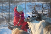 Якутские олени обживаются на севере Сахалина: фоторепортаж из Ногликского района, Фото: 55